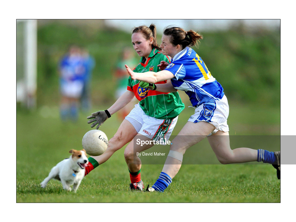 19 April 2009; Triona McNicholas, Mayo, in action against Emma McEvoy, Laois, as a dog runs onto the pitch. Bord Gais Energy Ladies National Football League, Division 1, Semi-Final, Mayo v Laois, Aughamore, Ballyhaunis, Co Mayo. Picture credit: David Maher / SPORTSFILE