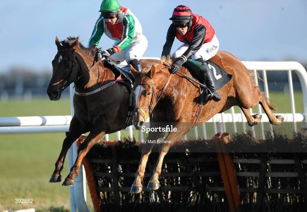 20 December 2009; Rigour Back Bob, right, with Andrew McNamara up, on their way to winning the Moycarkey Novice Hurdle from Mazara with Michael Darcy. Thurles Racecourse, Thurles, Co. Tipperary. Picture credit: Matt Browne / SPORTSFILE