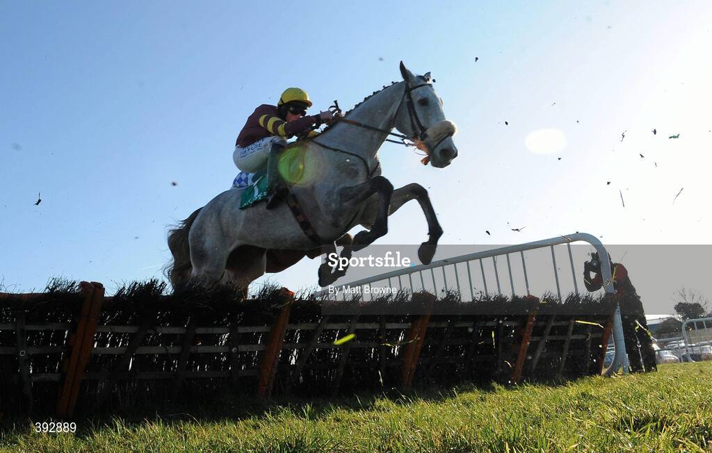 20 December 2009; Chicago Gray, with Alain Cawley up, on their way to winning the Horse and Jockey Hotel Hurdle. Thurles Racecourse, Thurles, Co. Tipperary. Picture credit: Matt Browne / SPORTSFILE