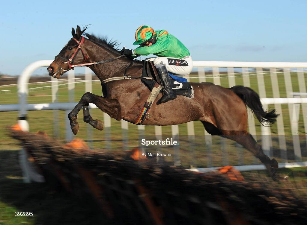 20 December 2009; Brownpolish, with Adrian Joyce up, jumps the last on their way to winning the I.N.H. Stallion Owners European Breeders Fund Maiden Hurdle. Thurles Racecourse, Thurles, Co. Tipperary. Picture credit: Matt Browne / SPORTSFILE