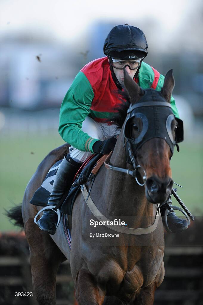20 December 2009; Frankford, with Tom Doyle up, during the I.N.H. Stallion Owners European Breeders Fund Maiden Hurdle. Thurles Racecourse, Thurles, Co. Tipperary. Picture credit: Matt Browne / SPORTSFILE