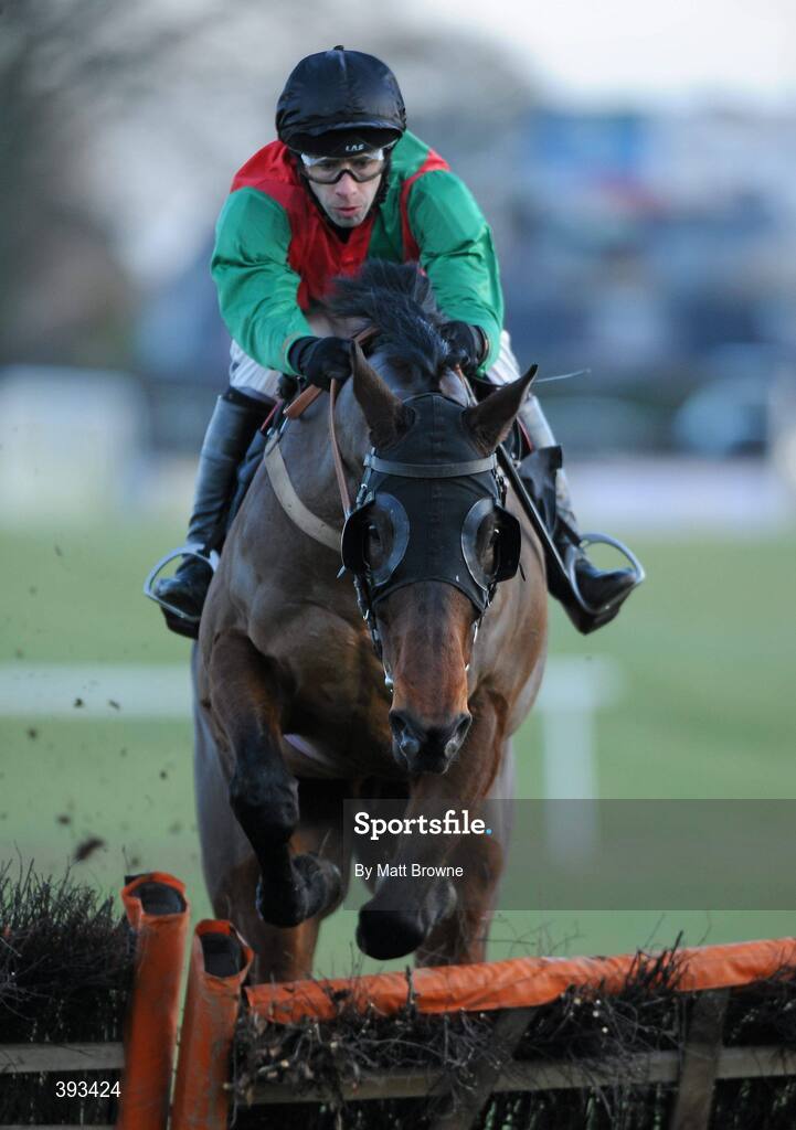 20 December 2009; Frankford, with Tom Doyle up, during the I.N.H. Stallion Owners European Breeders Fund Maiden Hurdle. Thurles Racecourse, Thurles, Co. Tipperary. Picture credit: Matt Browne / SPORTSFILE