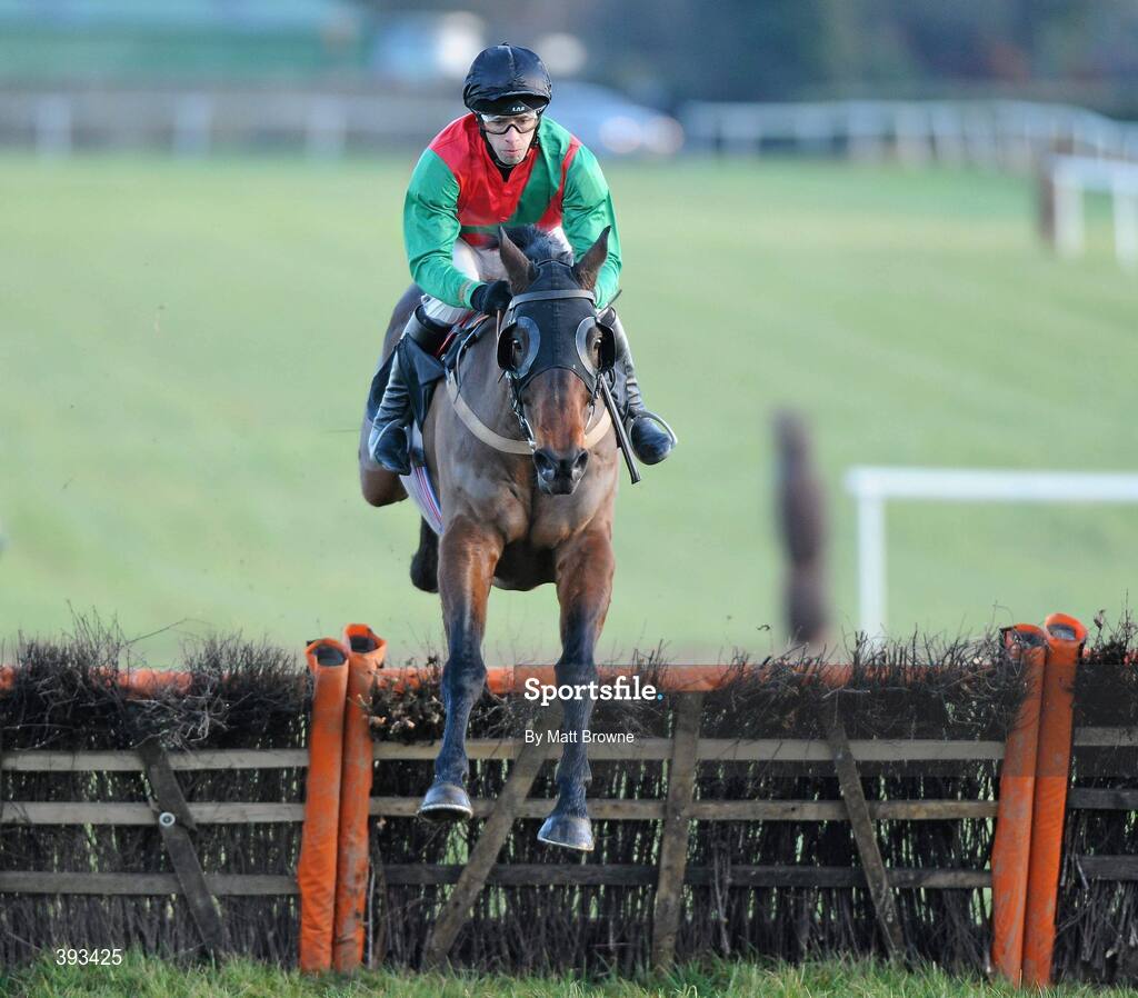 20 December 2009; Frankford, with Tom Doyle up, after jumping the last in the I.N.H. Stallion Owners European Breeders Fund Maiden Hurdle. Thurles Racecourse, Thurles, Co. Tipperary. Picture credit: Matt Browne / SPORTSFILE