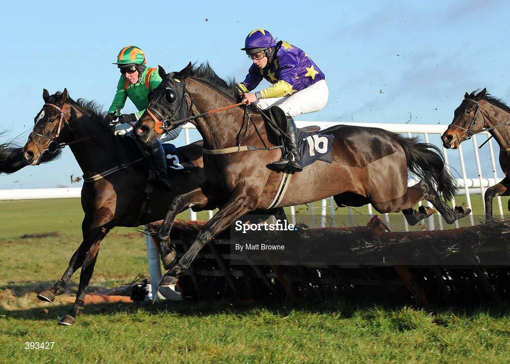 20 December 2009; Hoochie Mama,16, with Alan Crowe up, jumps the fourth during the I.N.H. Stallion Owners European Breeders Fund Maiden Hurdle alongside Brownpolish, with Adrian Joyce up. Thurles Racecourse, Thurles, Co. Tipperary. Picture credit: Matt Browne / SPORTSFILE