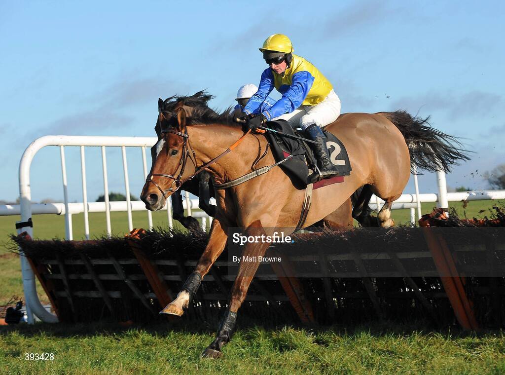 20 December 2009; Slippers Percy, with Denis Hogan up, jumps the fourth during the I.N.H. Stallion Owners European Breeders Fund Maiden Hurdle. Thurles Racecourse, Thurles, Co. Tipperary. Picture credit: Matt Browne / SPORTSFILE