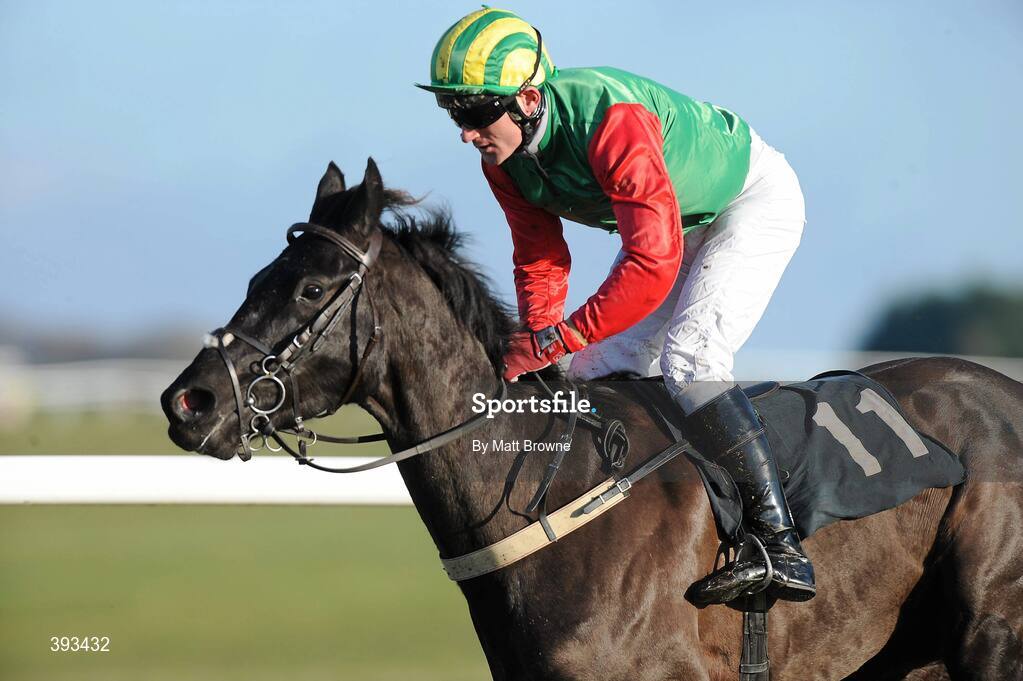 20 December 2009; Spider Bob, with Jim Cullen up, during the Moycarkey Novice Hurdle. Thurles Racecourse, Thurles, Co. Tipperary. Picture credit: Matt Browne / SPORTSFILE