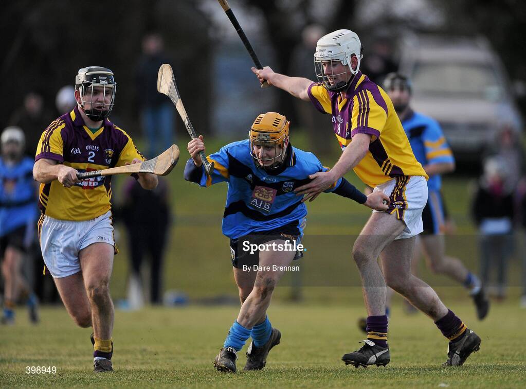 31 January 2010; Liam Ryan, UCD, in action against Colm Farrell, right, and Darren Kehoe, Wexford. Walsh Cup Quarter-Final, Wexford v UCD, Pairc Ui Siochan, Gorey, Co. Wexford. Picture credit: Daire Brennan / SPORTSFILE