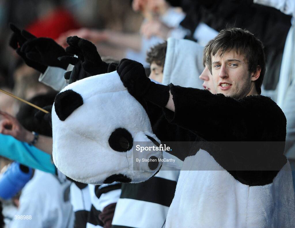 31 January 2010; A Belvedere College supporter during the game. Leinster Schools Senior Cup First Round, Belvedere College v Blackrock College, Donnybrook Stadium, Donnybrook, Dublin. Picture credit: Stephen McCarthy / SPORTSFILE