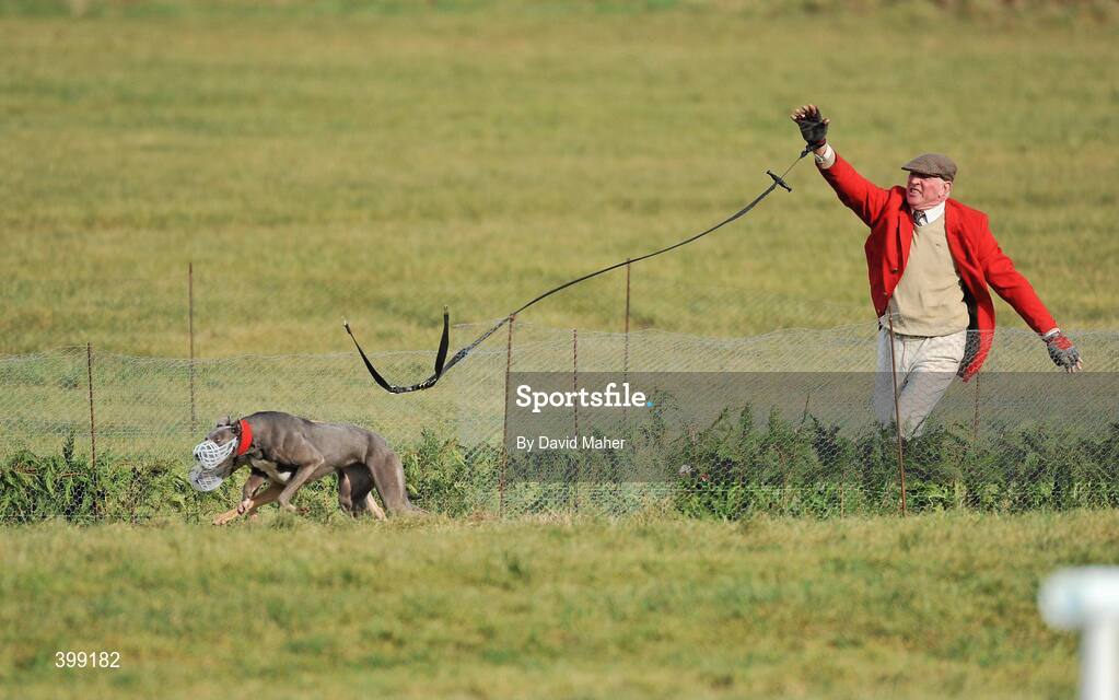 1 February 2010; Slipper Tom Murphy, slipping Tullamoy Queen and Becky during the first round of the Hotel Minella Oaks. 85th National Coursing Meeting - Monday, Powerstown Park, Clonmel, Co. Tipperary. Picture credit: David Maher / SPORTSFILE