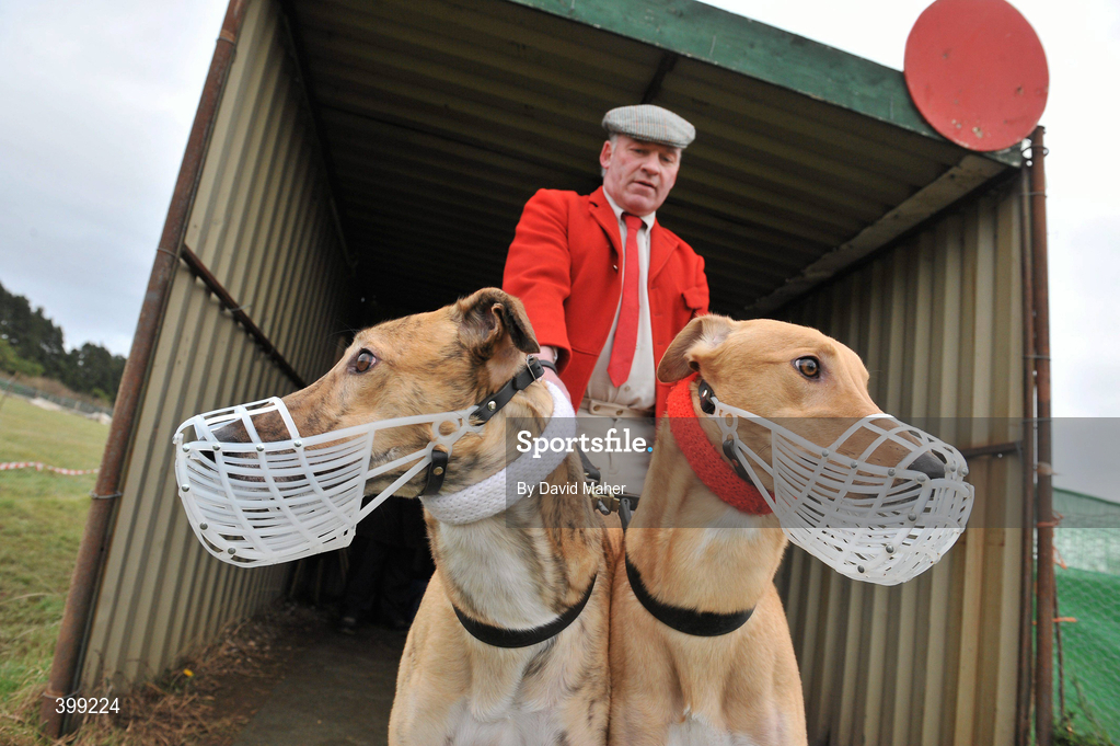 1 February 2010; Slipper Richie Quinn, holds Him over There, red collar, and Colossal Storm before the start of the Boylesports.com Derby. 85th National Coursing Meeting - Monday, Powerstown Park, Clonmel, Co. Tipperary. Picture credit: David Maher / SPORTSFILE