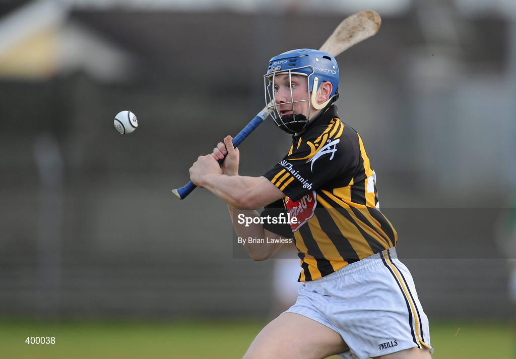 31 January 2010; Niall Walsh, Kilkenny. Walsh Cup Quarter-Final, Offaly v Kilkenny, O'Connor Park, Tullamore, Co. Offaly. Picture credit: Brian Lawless / SPORTSFILE *** Local Caption ***