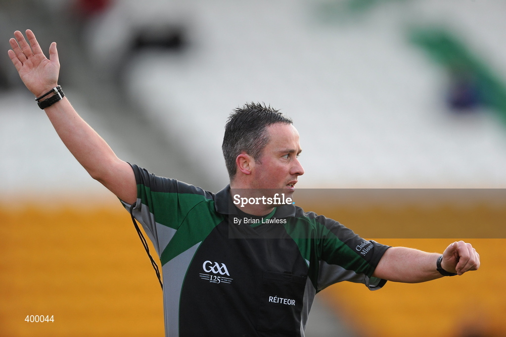 31 January 2010; James McGrath, referee. Walsh Cup Quarter-Final, Offaly v Kilkenny, O'Connor Park, Tullamore, Co. Offaly. Picture credit: Brian Lawless / SPORTSFILE *** Local Caption ***