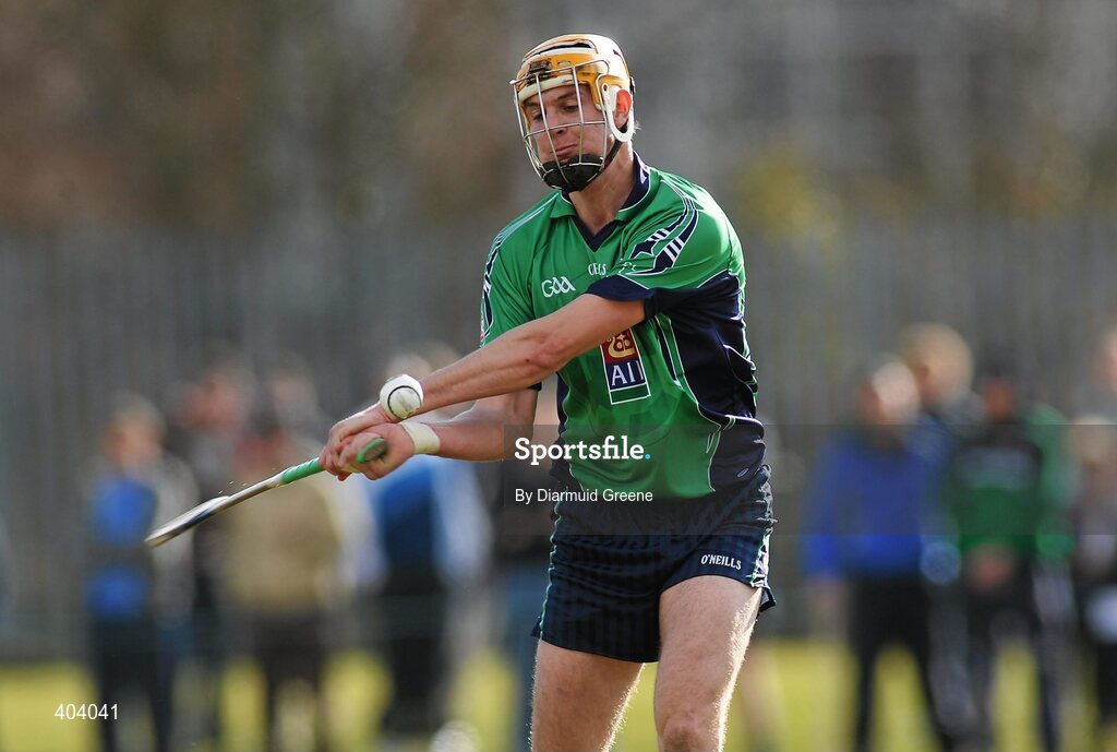 16 February 2010; Seamus Callinan, LIT. Ulster Bank Fitzgibbon Cup Round 3, Limerick Institute of Technology v Galway Mayo Institute of Technology. Limerick IT, Limerick. Picture credit: Diarmuid Greene / SPORTSFILE