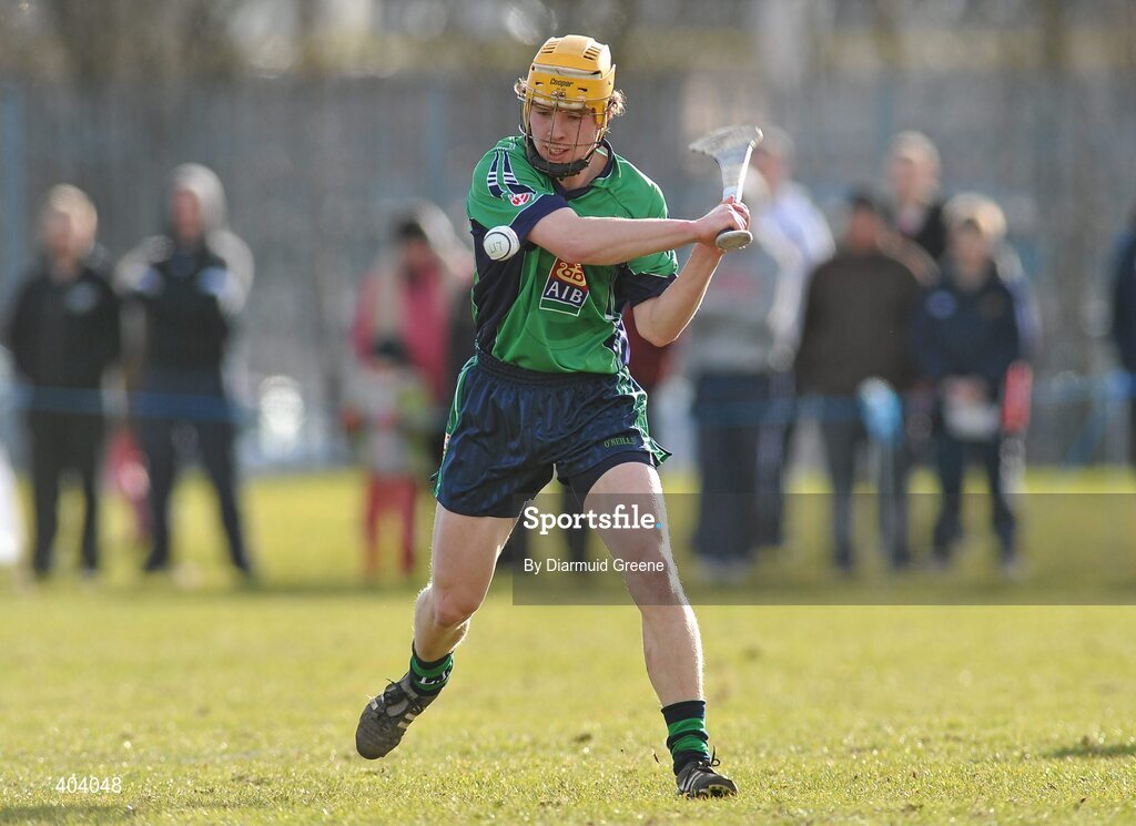 16 February 2010; Paul Browne,  LIT. Ulster Bank Fitzgibbon Cup Round 3, Limerick Institute of Technology v Galway Mayo Institute of Technology. Limerick IT, Limerick. Picture credit: Diarmuid Greene / SPORTSFILE