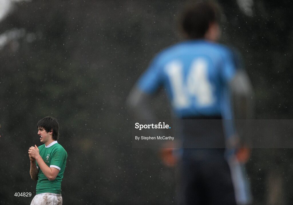 23 February 2010; Mark McPhillips, Gonzaga College SJ. Vinnie Murray Semi-Final, Newpark Comprehensive v Gonzaga College SJ, Old Belvedere RFC, Anglesea Road, Dublin. Picture credit: Stephen McCarthy / SPORTSFILE