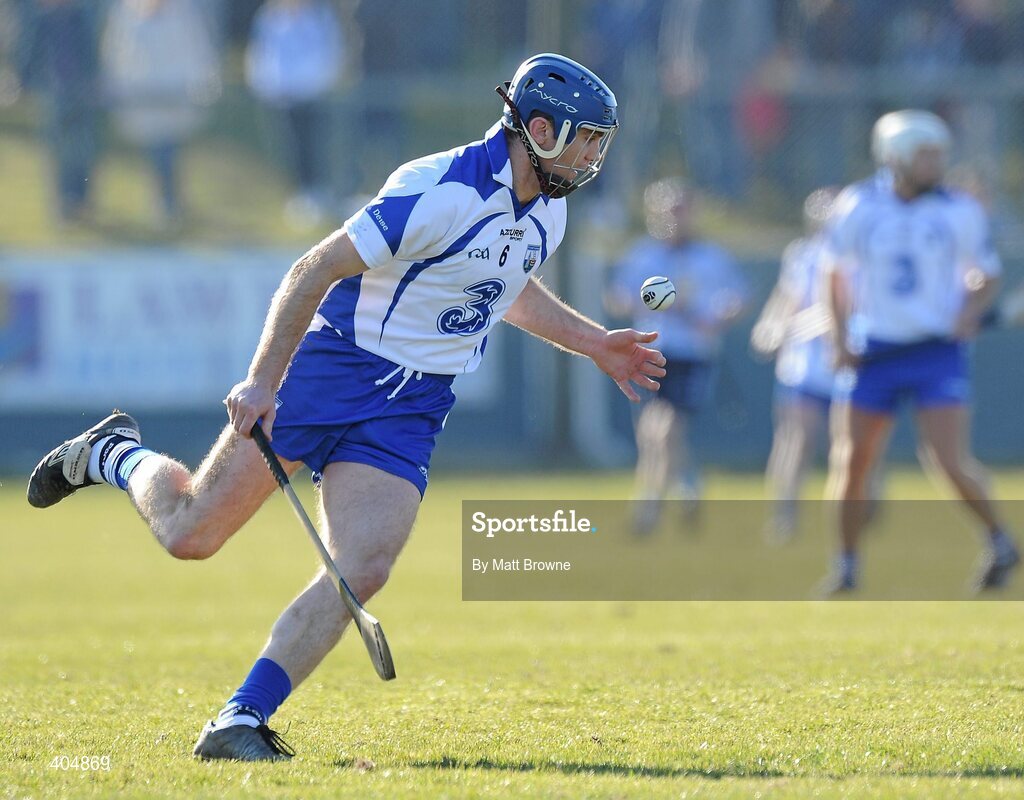 21 February 2010; Michael Walsh, Waterford. Allianz GAA Hurling National League Division 1 Round 1, Waterford v Dublin. Walsh Park, Waterford. Picture credit: Matt Browne / SPORTSFILE