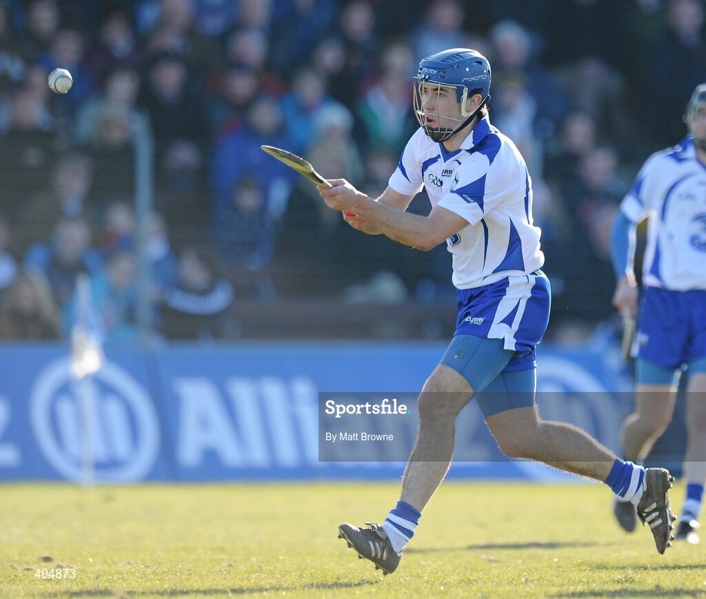 21 February 2010; Jamie Nagle, Waterford. Allianz GAA Hurling National League Division 1 Round 1, Waterford v Dublin. Walsh Park, Waterford. Picture credit: Matt Browne / SPORTSFILE