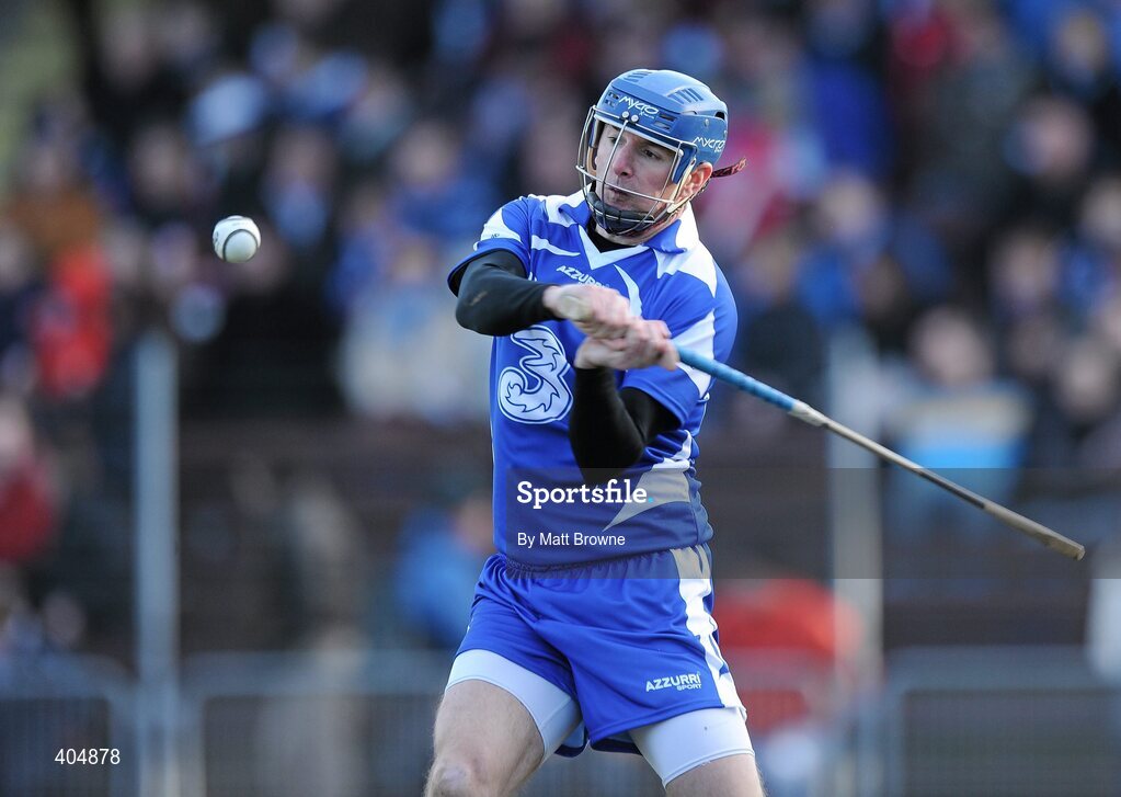 21 February 2010; Clinton Hennessy, Waterford. Allianz GAA Hurling National League Division 1 Round 1, Waterford v Dublin. Walsh Park, Waterford. Picture credit: Matt Browne / SPORTSFILE