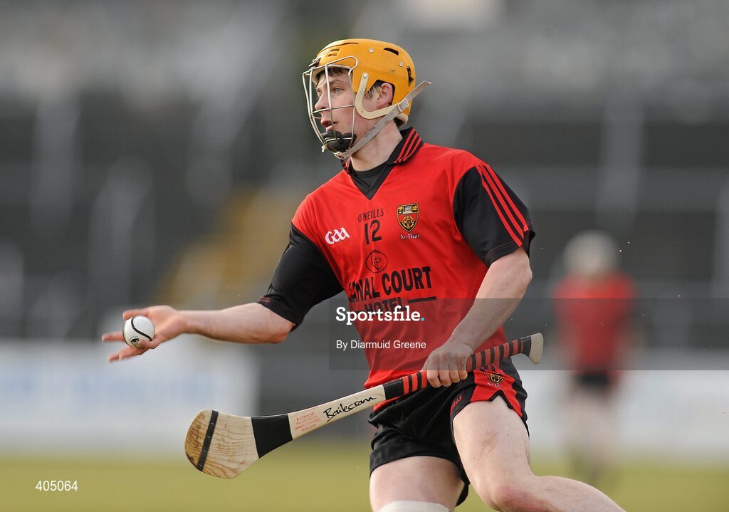 21 February 2010; Brendan Ennis, Down. Allianz GAA Hurling National League, Division 2 Round 1, Clare v Down. Cusack Park, Ennis, Co. Clare. Picture credit: Diarmuid Greene / SPORTSFILE