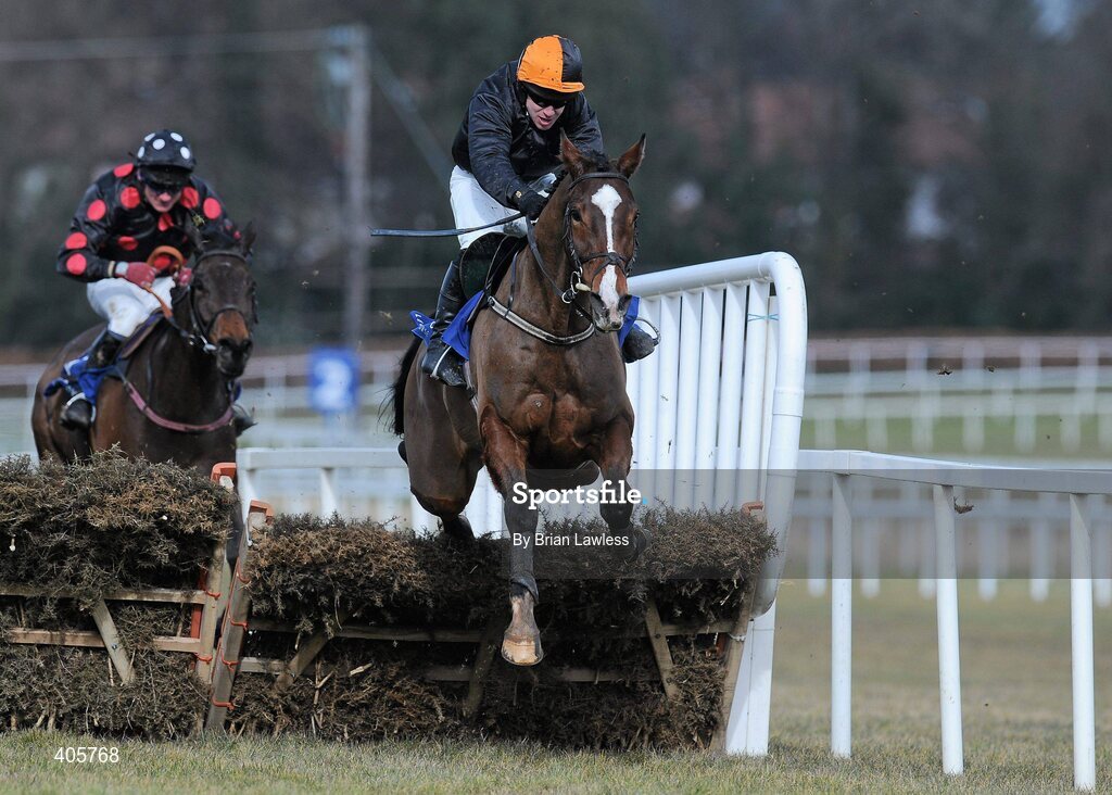 28 February 2010; False Evidence, with Andrew Leigh up, clears the last, ahead of eventual third place Seeability, John Cullen up, on their way to winning The Irish Stallion Farms European Breeders Fund Maiden Hurdle. Leopardstown Racecourse, Dublin. Picture credit: Brian Lawless / SPORTSFILE