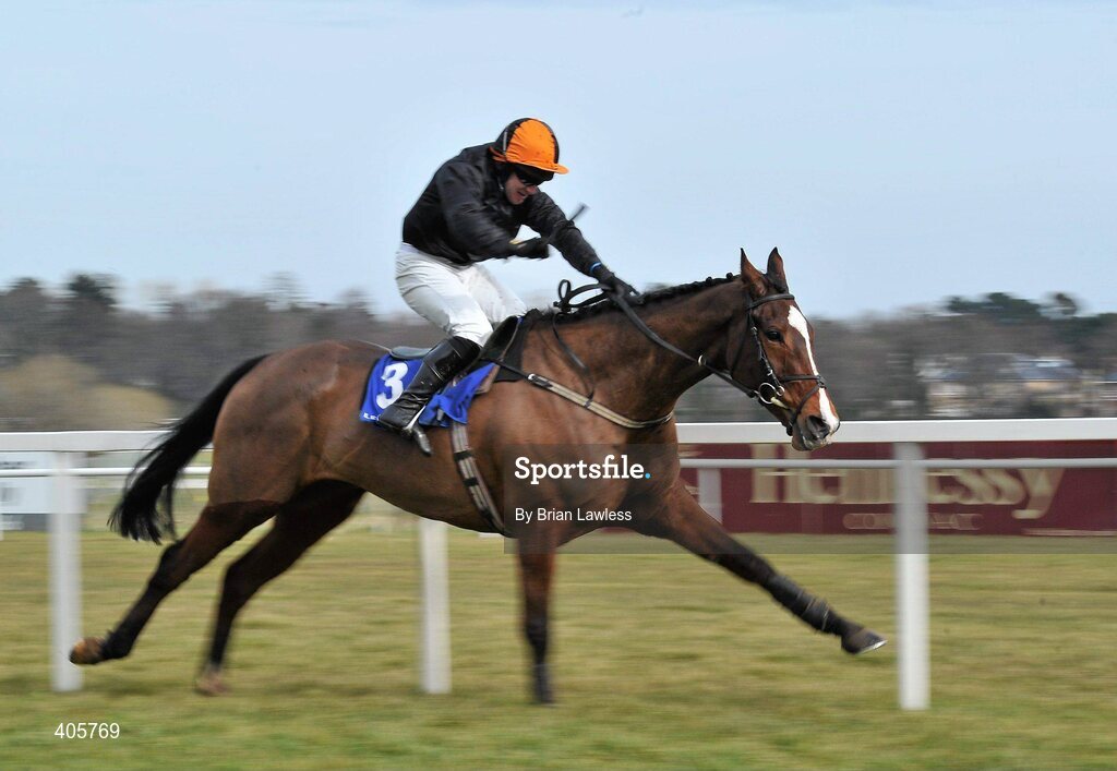 28 February 2010; False Evidence, with Andrew Leigh up, on their way to winning The Irish Stallion Farms European Breeders Fund Maiden Hurdle. Leopardstown Racecourse, Dublin. Picture credit: Brian Lawless / SPORTSFILE