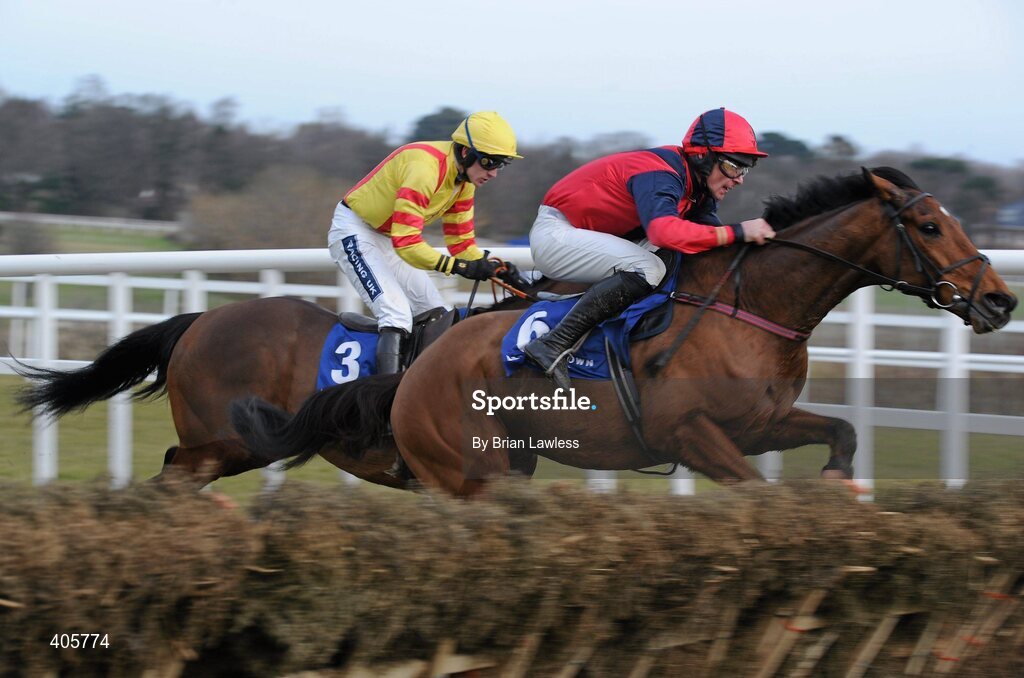 28 February 2010; Won In The Dark, with Davy Russell up, approaches the last, ahead of eventual third place Beau Michael, with Ruby Walsh up, on their way to winning The Ballsbridge Hurdle. Leopardstown Racecourse, Dublin. Picture credit: Brian Lawless / SPORTSFILE