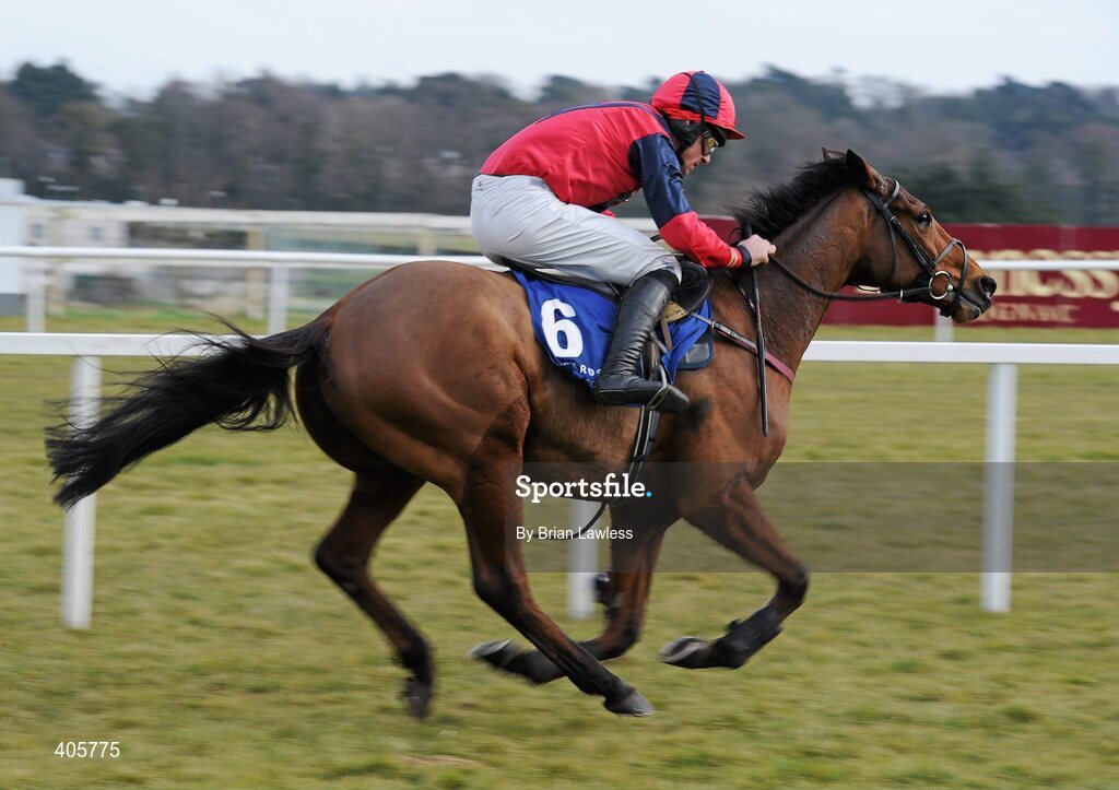 28 February 2010; Won In The Dark, with Davy Russell up, race clear of the last on their way to winning The Ballsbridge Hurdle. Leopardstown Racecourse, Dublin. Picture credit: Brian Lawless / SPORTSFILE