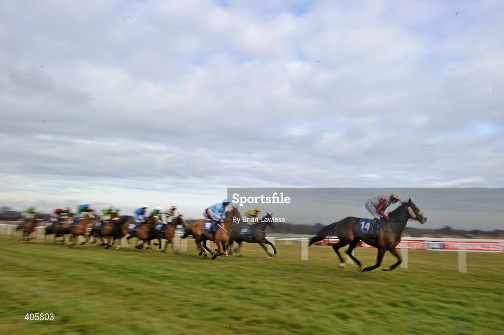28 February 2010; Eventual second place Jigalo, with Davy Condon up, leads the field during The www.leopardstown.com Handicap Hurdle. Leopardstown Racecourse, Dublin. Picture credit: Brian Lawless / SPORTSFILE