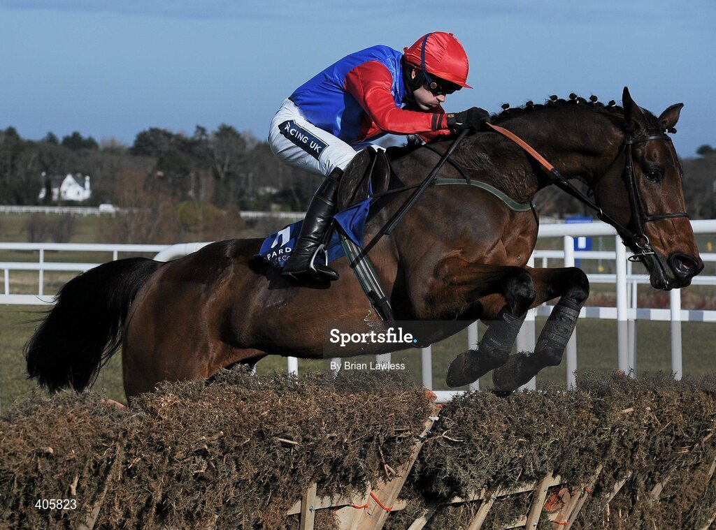 28 February 2010; Cadspeed, with Ruby Walsh up, clears the last on their way to winning the Irish Stallion Farms European Breeders Fund Maiden Hurdle. Leopardstown Racecourse, Dublin. Picture credit: Brian Lawless / SPORTSFILE