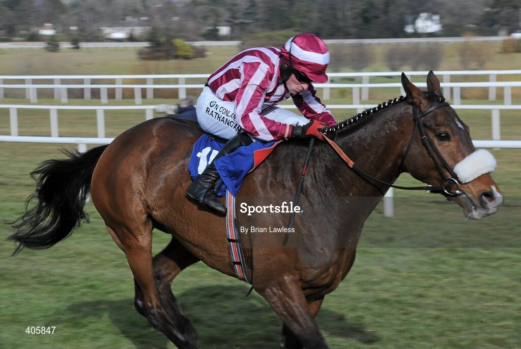 28 February 2010; Stewarts House, with Paddy Flood up, races clear of the last on their way to winning The Carrickmines Handicap Steeplechase. Leopardstown Racecourse, Dublin. Picture credit: Brian Lawless / SPORTSFILE