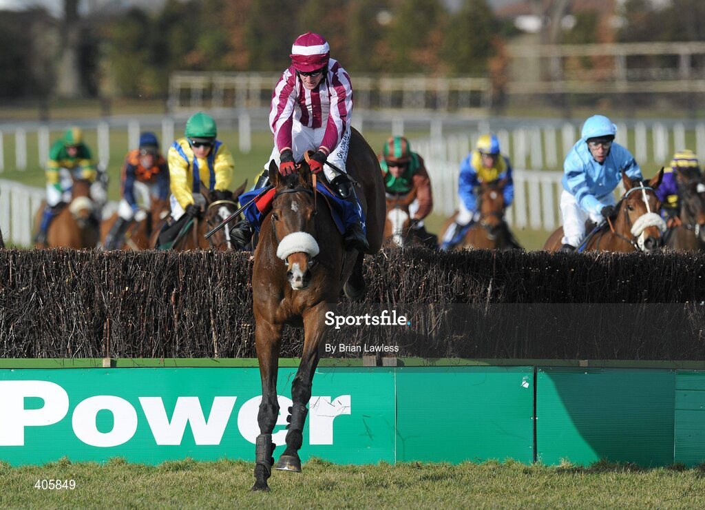 28 February 2010; Stewarts House, with Paddy Flood up, clears the last on the way to winning The Carrickmines Handicap Steeplechase. Leopardstown Racecourse, Dublin. Picture credit: Brian Lawless / SPORTSFILE