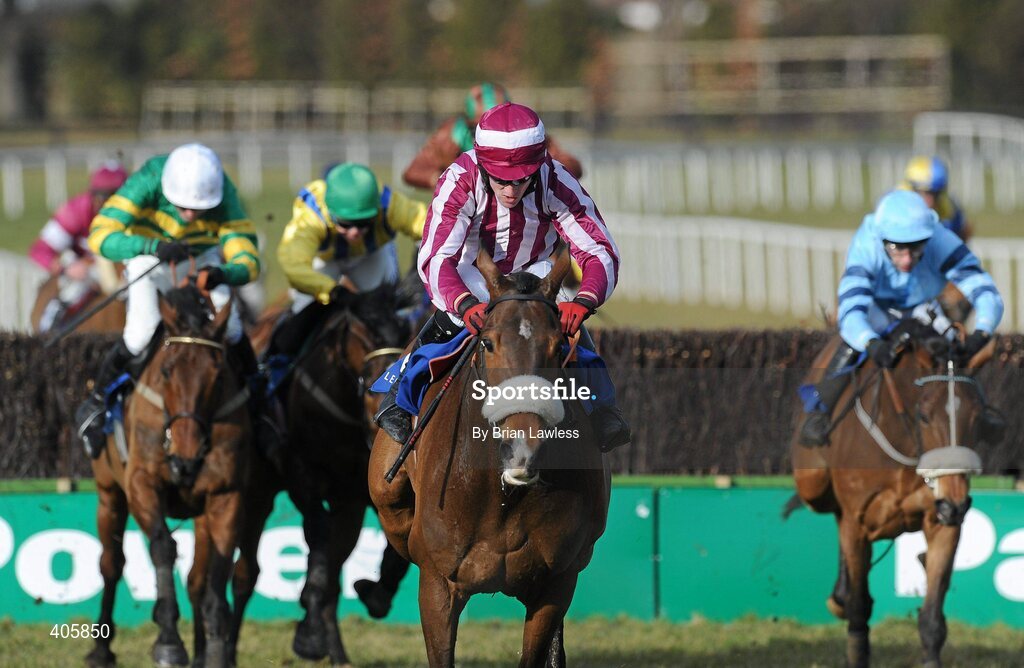 28 February 2010; Stewarts House, with Paddy Flood up, races clear of the last on the way to winning The Carrickmines Handicap Steeplechase. Leopardstown Racecourse, Dublin. Picture credit: Brian Lawless / SPORTSFILE