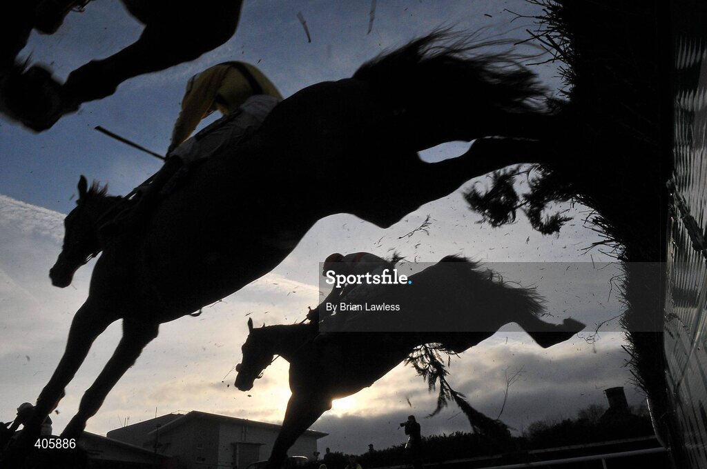 28 February 2010; The runners and riders clear the last during The Newlands Steeplechase. Leopardstown Racecourse, Dublin. Picture credit: Brian Lawless / SPORTSFILE