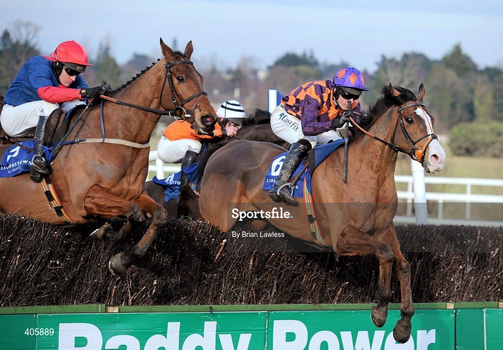 28 February 2010; Tranquil Sea, with Andrew McNamara up, right, clears the last, alongside eventual second place Natal, Barry Geraghty up, on their way to winning The Newlands Steeplechase. Leopardstown Racecourse, Dublin. Picture credit: Brian Lawless / SPORTSFILE