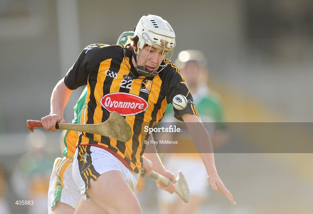 28 February 2010; John Mulhall, Kilkenny. Allianz GAA Hurling National League Division 1 Round 2, Kilkenny v Offaly, Nowlan Park, Kilkenny. Picture credit: Ray McManus / SPORTSFILE
