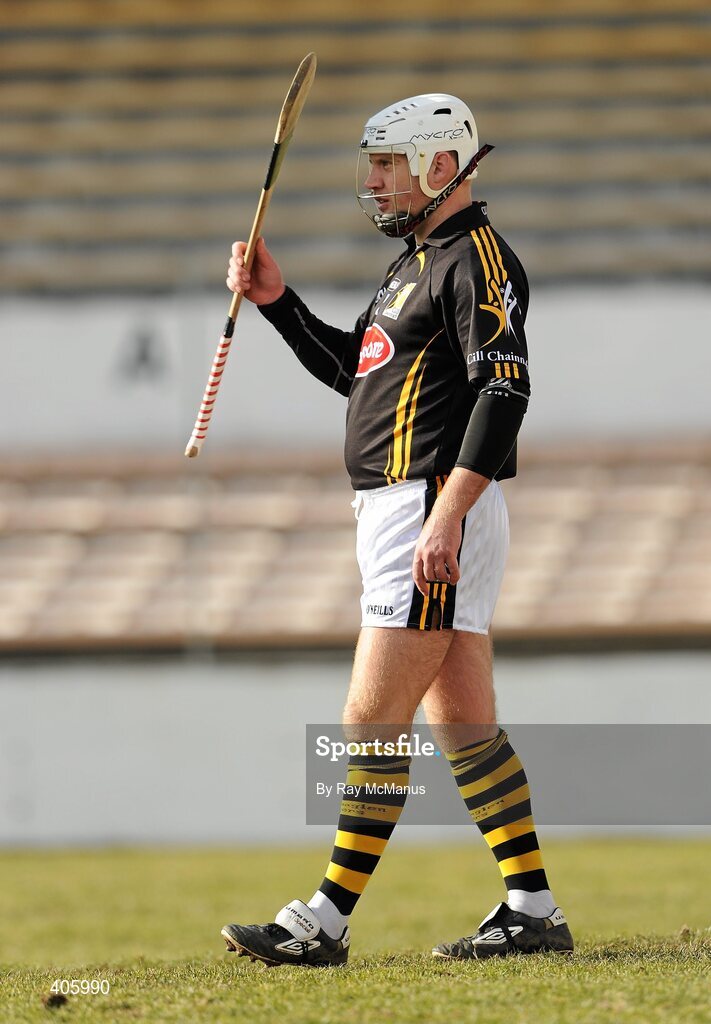 28 February 2010; P. J. Ryan, Kilkenny. Allianz GAA Hurling National League Division 1 Round 2, Kilkenny v Offaly, Nowlan Park, Kilkenny. Picture credit: Ray McManus / SPORTSFILE