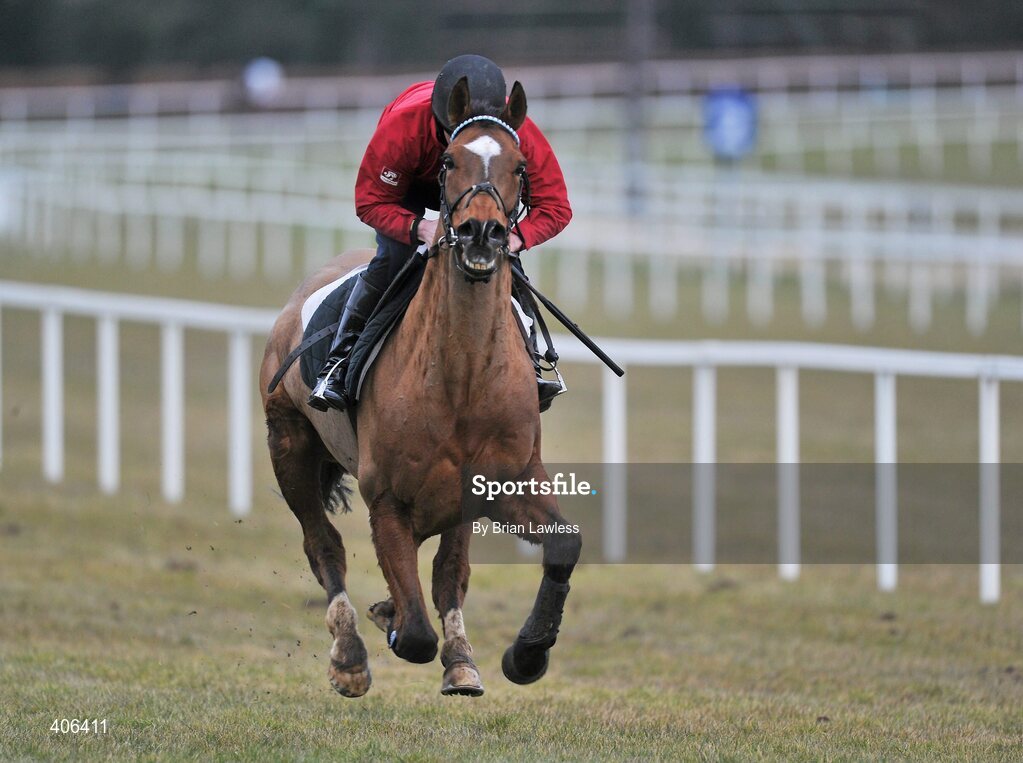 28 February 2010; Robbert Hennessey trained Sublimity, with Philip Carberry up, during the gallops after the days racing. Leopardstown Racecourse, Dublin. Picture credit: Brian Lawless / SPORTSFILE
