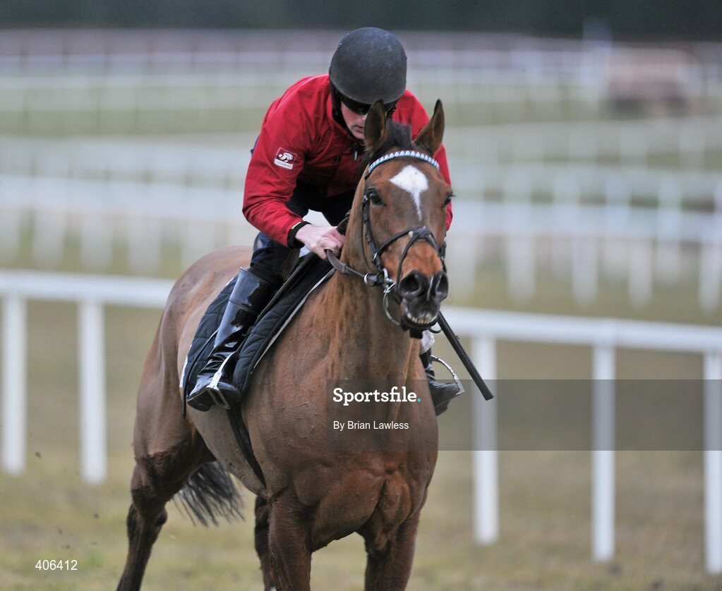 28 February 2010; Robbert Hennessey trained Sublimity, with Philip Carberry up, during the gallops after the days racing. Leopardstown Racecourse, Dublin. Picture credit: Brian Lawless / SPORTSFILE
