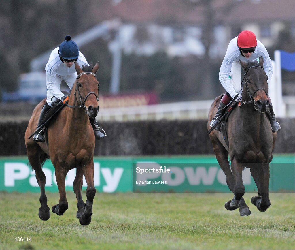 28 February 2010; Willie Mullins trained horses Uimhiraceathair, with Ruby Walsh up, left, and Cooldine, Paul Townend up, during the gallops after the days racing. Leopardstown Racecourse, Dublin. Picture credit: Brian Lawless / SPORTSFILE