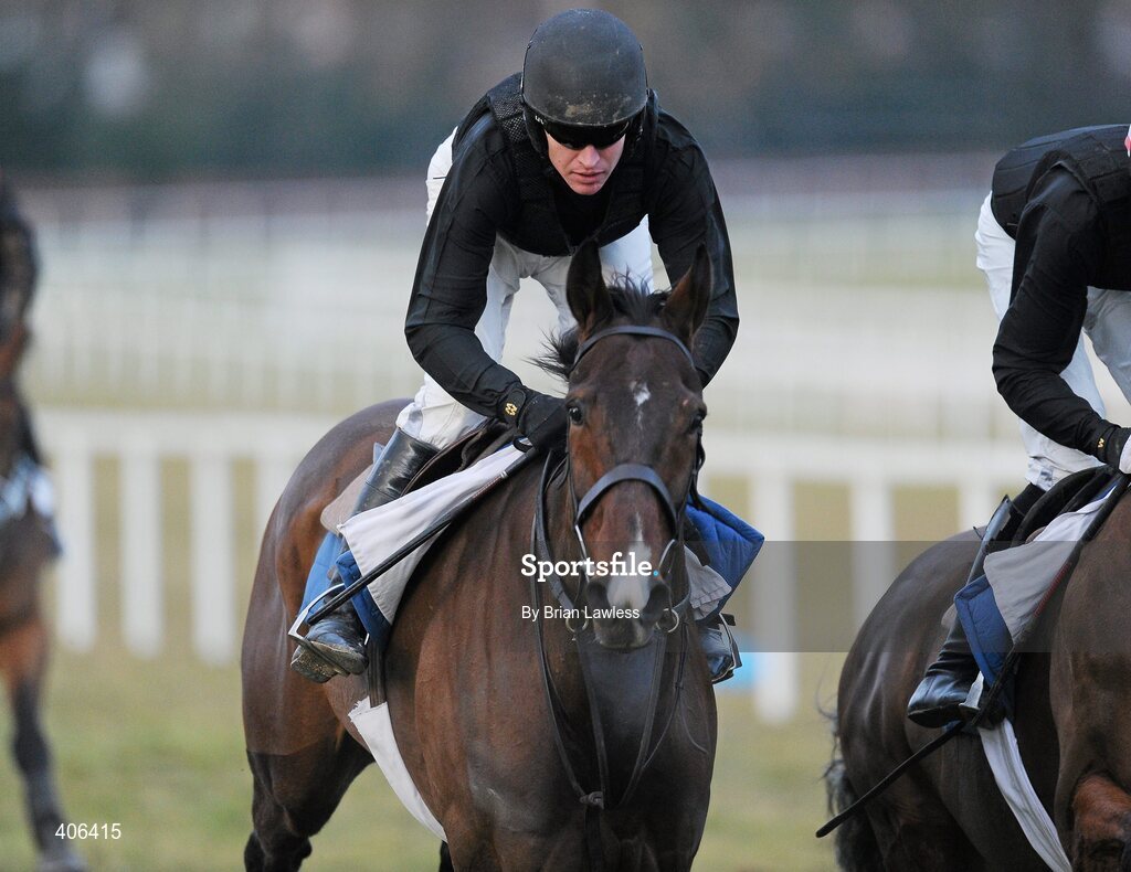 28 February 2010; Tom Cooper trained Forpadydeplasterer, with Barry Geraghty up, during the gallops after the days racing. Leopardstown Racecourse, Dublin. Picture credit: Brian Lawless / SPORTSFILE