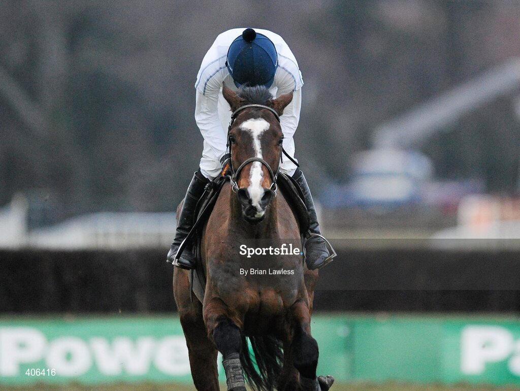 28 February 2010; Willie Mullins trained Mikael d'Haguenet, with Ruby Walsh up, during the gallops after the days racing. Leopardstown Racecourse, Dublin. Picture credit: Brian Lawless / SPORTSFILE