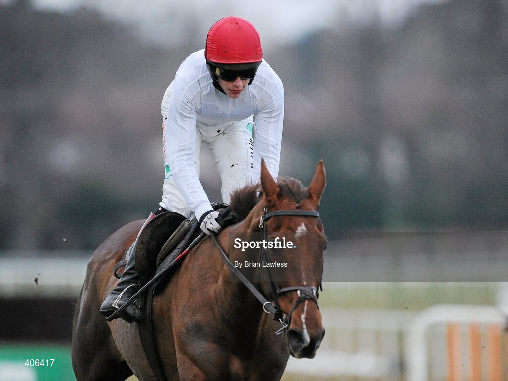 28 February 2010; Willie Mullins trained J'y Vole, with Paul Townend up, during the gallops after the days racing. Leopardstown Racecourse, Dublin. Picture credit: Brian Lawless / SPORTSFILE