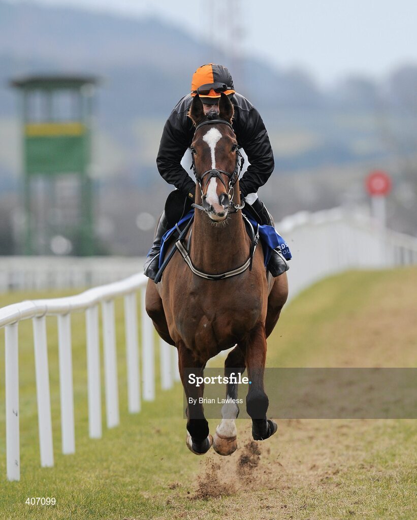28 February 2010; False Evidence, with Andrew Leigh up, goes to post for The Irish Stallion Farms European Breeders Fund Maiden Hurdle. Leopardstown Racecourse, Dublin. Picture credit: Brian Lawless / SPORTSFILE