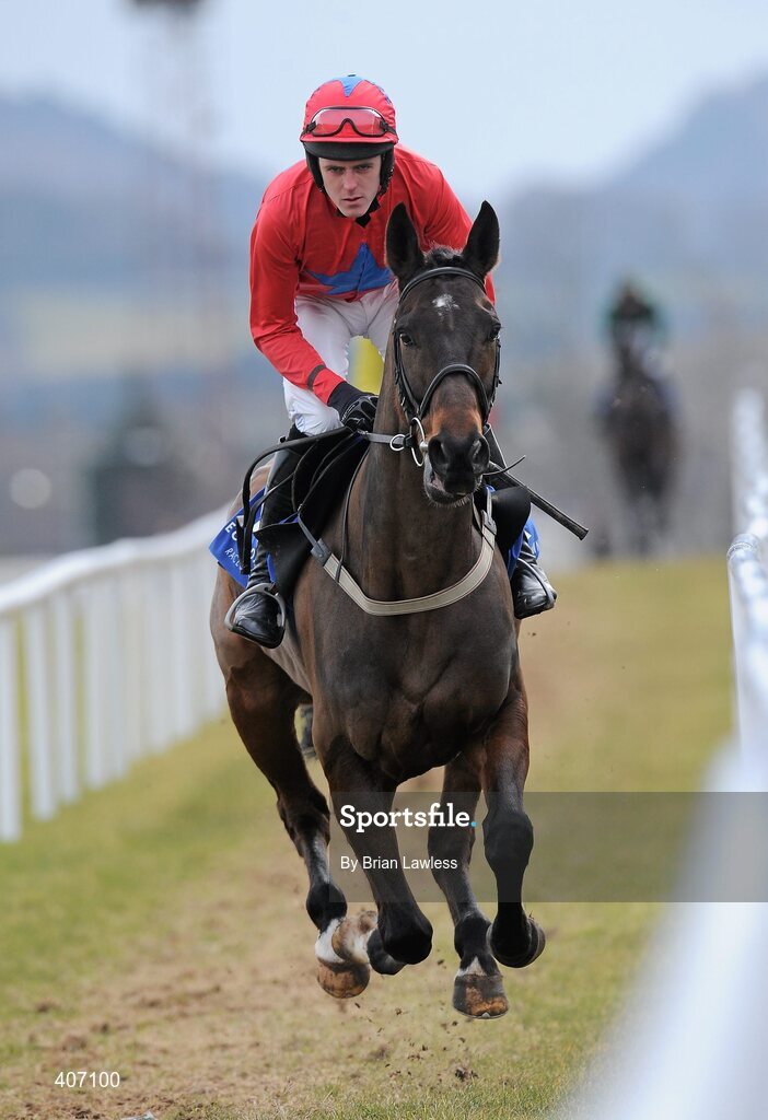 28 February 2010; Topo Gigio, with Andrew McNamara up, goes to post for The Irish Stallion Farms European Breeders Fund Maiden Hurdle. Leopardstown Racecourse, Dublin. Picture credit: Brian Lawless / SPORTSFILE