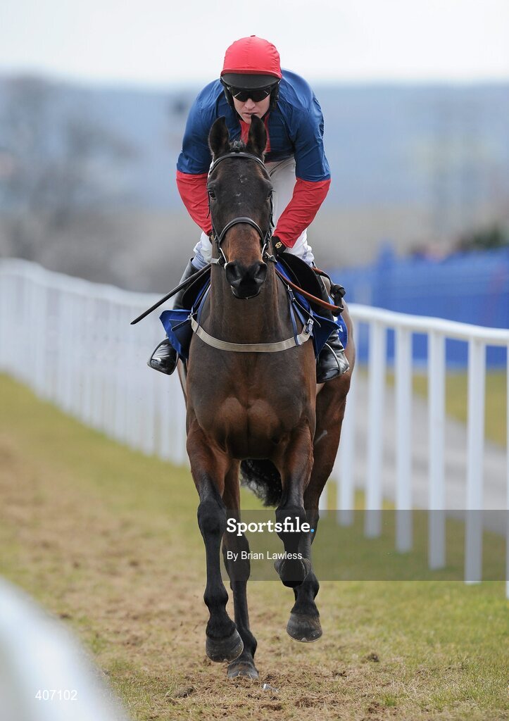 28 February 2010; Kingsmoss, with Barry Geraghty up, goes to post for The Irish Stallion Farms European Breeders Fund Maiden Hurdle. Leopardstown Racecourse, Dublin. Picture credit: Brian Lawless / SPORTSFILE