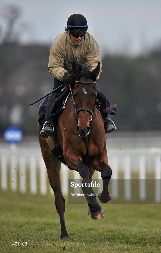 28 February 2010; Prince Of Fire, with trainer Charlie Swan up, during the gallops after the days racing. Leopardstown Racecourse, Dublin. Picture credit: Brian Lawless / SPORTSFILE