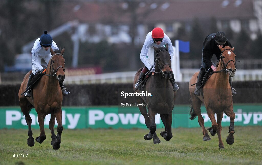 28 February 2010; Willie Mullins trained horses, from left, Uimhiraceathair, with Ruby Walsh up, Cooldine, Paul Townend up, and Midnight Club, Emmet Mullins up, during the gallops after the days racing. Leopardstown Racecourse, Dublin. Picture credit: Brian Lawless / SPORTSFILE