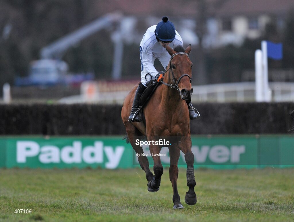 28 February 2010; Willie Mullins trained Uimhiraceathair, with Ruby Walsh up, during the gallops after the days racing. Leopardstown Racecourse, Dublin. Picture credit: Brian Lawless / SPORTSFILE