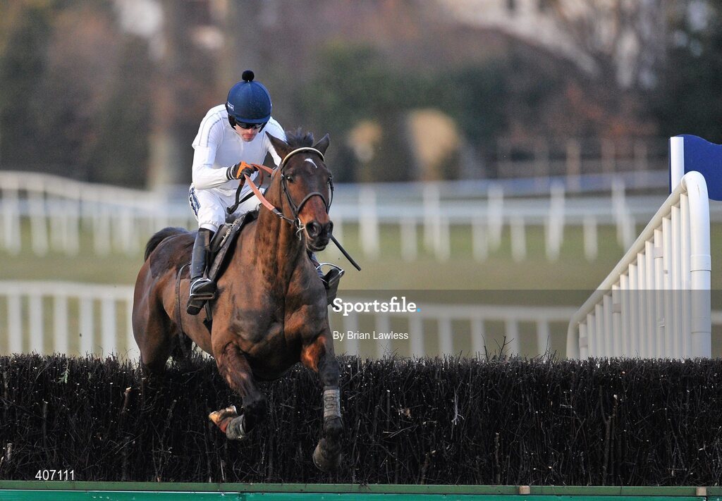 28 February 2010; Willie Mullins trained Sports Line, with Ruby Walsh up, during the gallops after the days racing. Leopardstown Racecourse, Dublin. Picture credit: Brian Lawless / SPORTSFILE