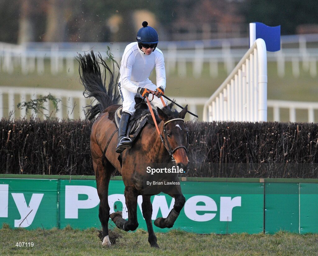 28 February 2010; Willie Mullins trained Sports Line, with Ruby Walsh up, during the gallops after the days racing. Leopardstown Racecourse, Dublin. Picture credit: Brian Lawless / SPORTSFILE